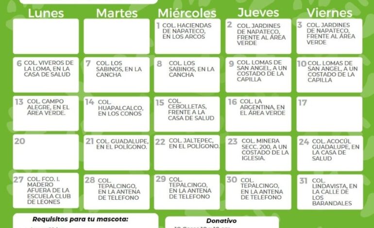 Continúa Campaña de Esterilización Para Perros y Gatos, Durante Marzo