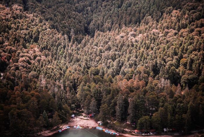 Mineral del Chico es el mejor Pueblo Mágico para disfrutar actividades en las montañas