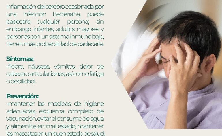 Recomienda IMSS Hidalgo Mantener Medidas de Higiene Personal Para Prevenir Encefalitis