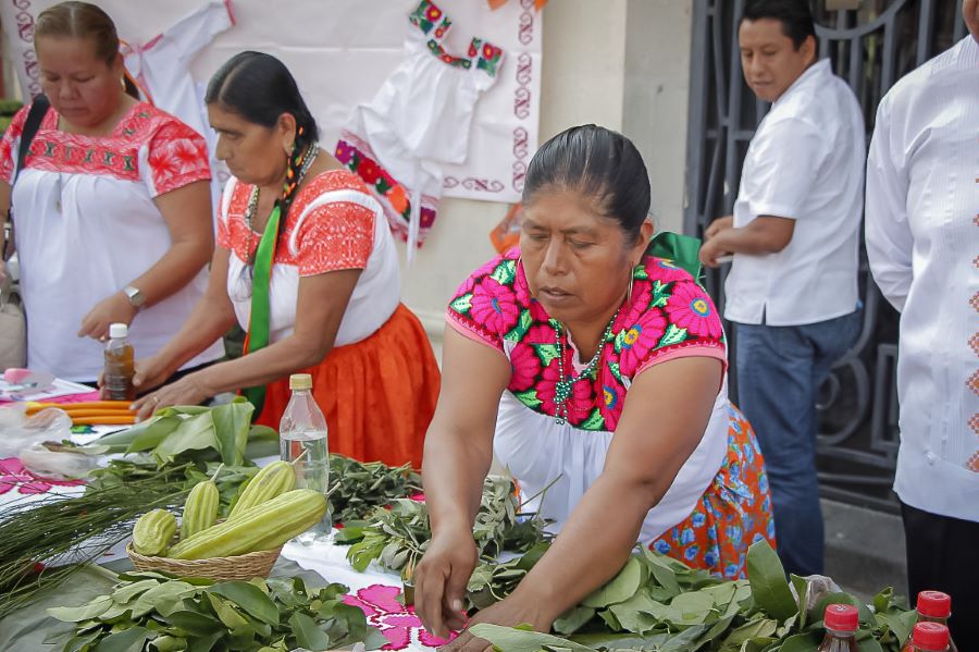 Como Senador Buscare Apoyo Federal Para Atender el Problema del Lirio en los Cuerpos de Agua de la   Hacienda Santa Maria Regla