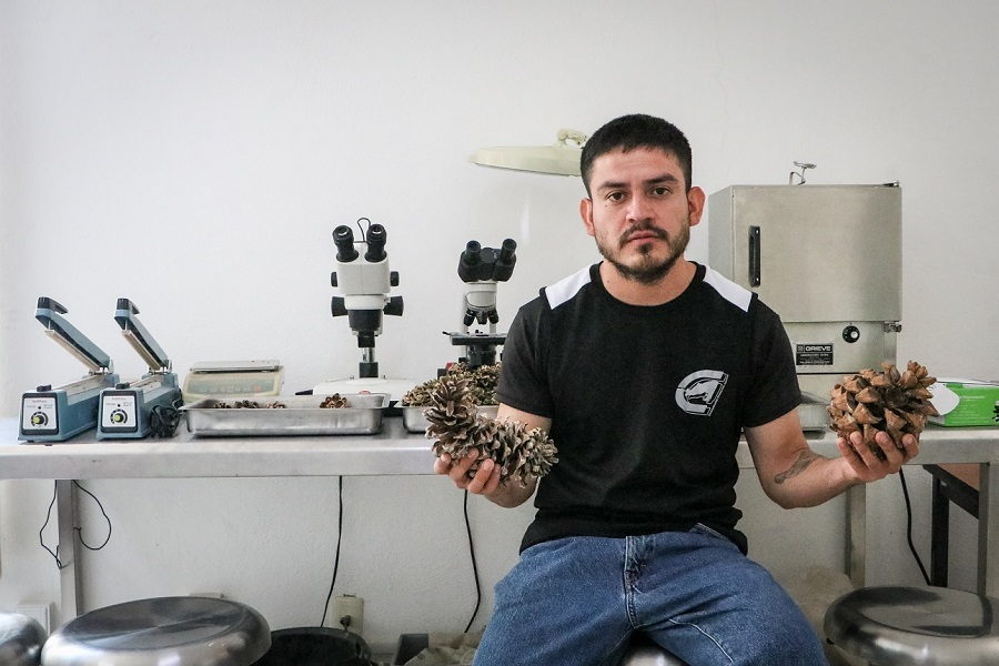 Impulsa Semarnath el Resguardo de Genética Forestal
