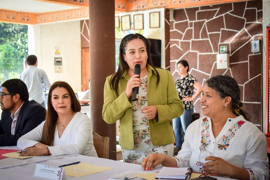 Maternidad Libre Y Voluntaria, Un Derecho Humano de las Mujeres