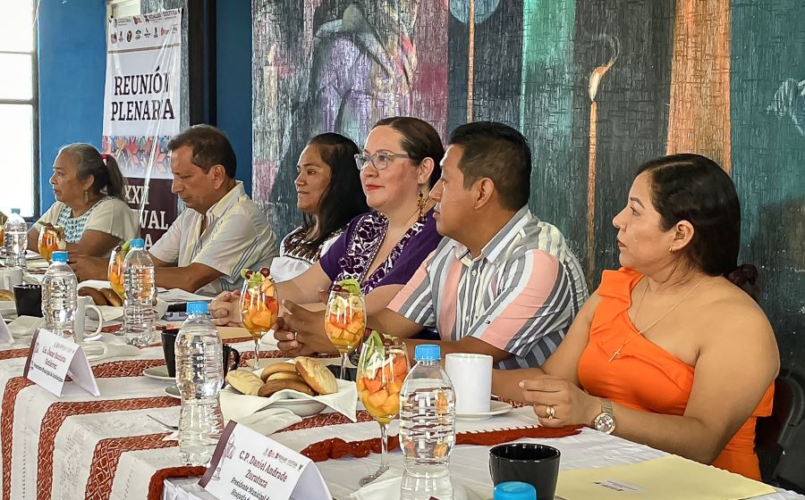 Continúa abierta convocatoria para diseño del Festival de la Huasteca