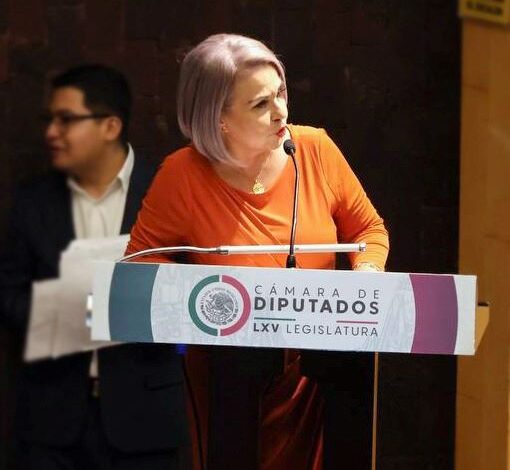 Rebeca Aladro Expone Necesidad de Recursos Para Los Poderes Judiciales Hacia el Nuevo Código Nacional de Procedimientos Civiles y Familiares
