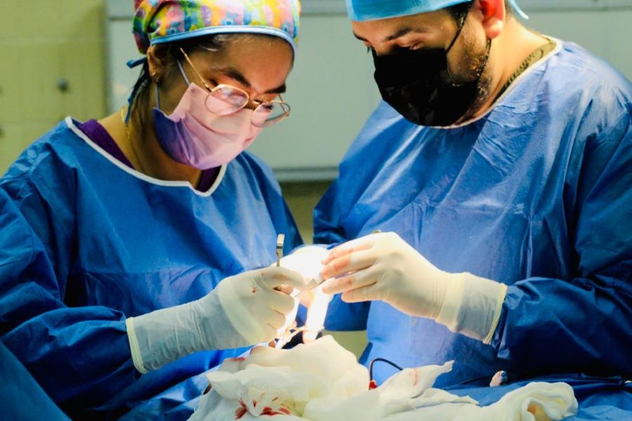 Procura IMSS Hidalgo Córneas y Con Esta Labor se Logra la Décima en 2023
