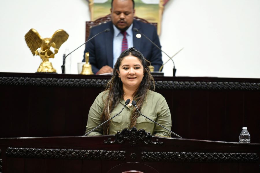 Propone Diputada Que Instancias Municipales de Prevención de Adicciones Atiendan Conductas Suicidas