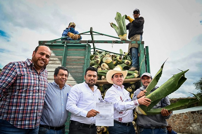 Canaliza Saderh Apoyos “Para Devolverle La Grandeza Al Campo”, En Diferentes Regiones de Hidalgo
