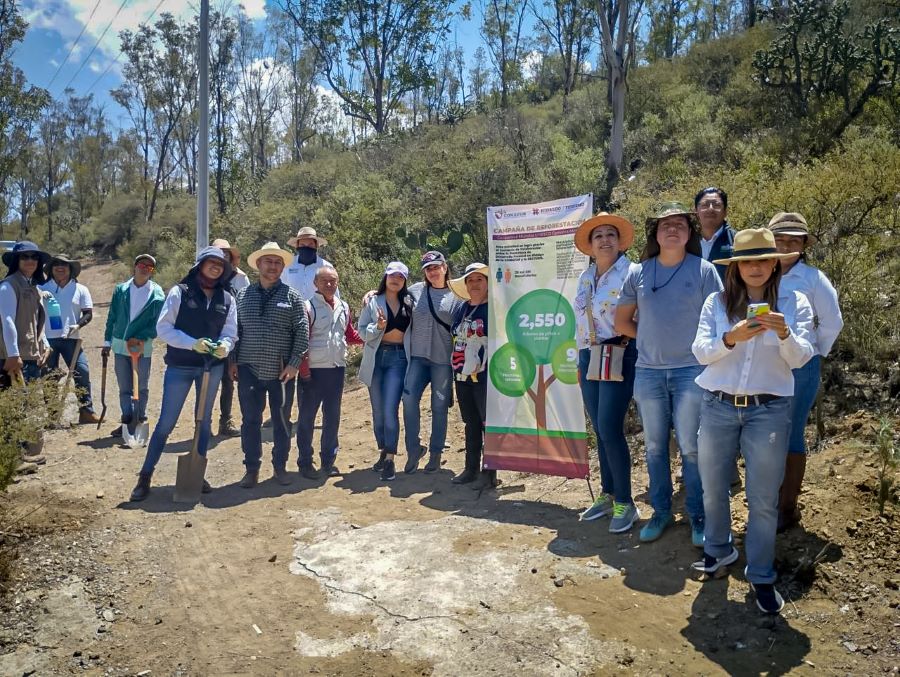 Concluye Jornada de Reforestación en Geoparque Comarca Minera