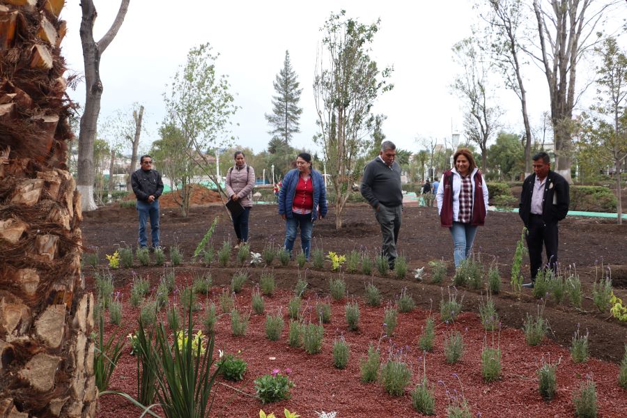 Semarnath Informó Que Los Árboles Para La Reforestación del Jardín de los Hombres Ilustres Aportan Servicios Ambientales
