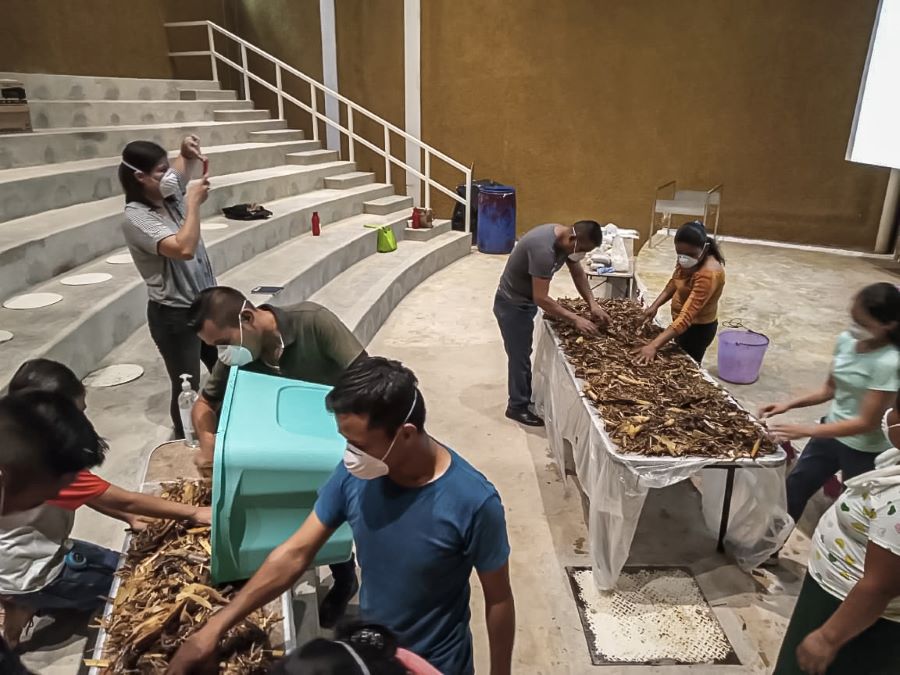 Semarnath Promueve Cultivo De Hongo Seta en la Huasteca