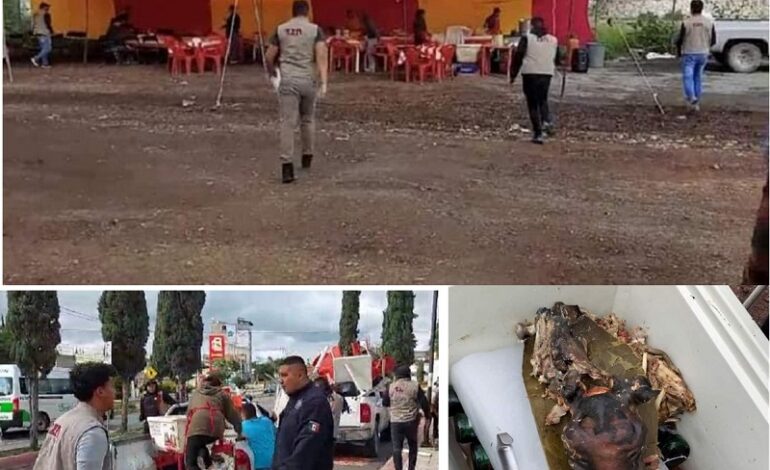 Denuncian Presunta Venta de Barbacoa de Perro en Tizayuca
