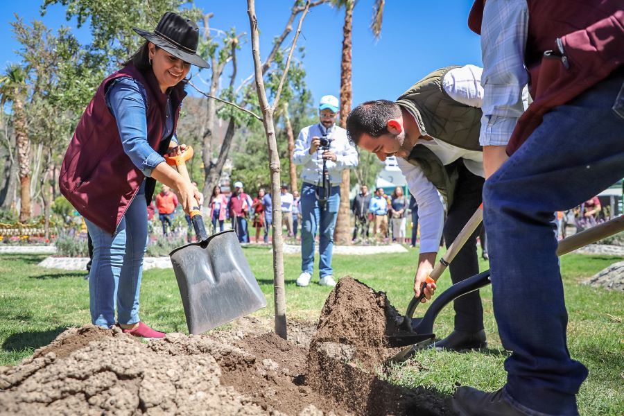 Plantan Árbol de Fuego en Jardín De La Capital Hidalguense