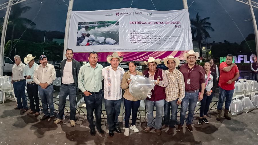 Entrega Gobierno Estatal 150 mil crías de tilapia en la Sierra Gorda