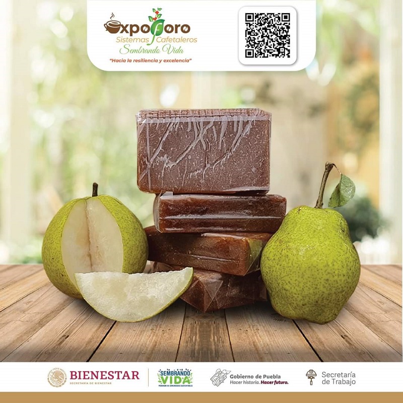 Expo Foro Sistemas Cafetaleros Sembrando VIDAdel 24 al 26 de Octubre  en Puebla