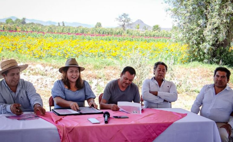 Organiza Doxey Festival Inspirado En El Cempasúchil
