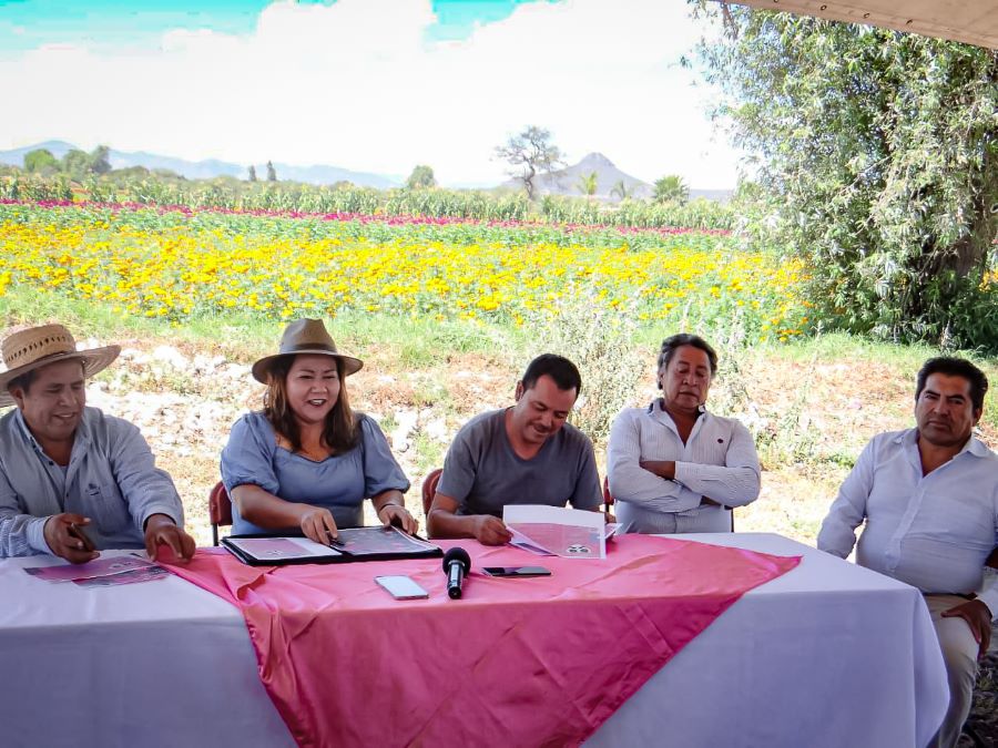 Organiza Doxey Festival Inspirado En El Cempasúchil