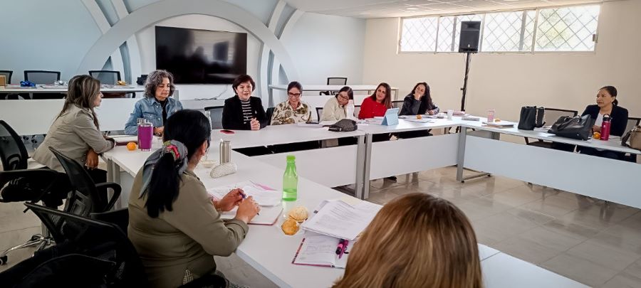 Realizó SEPH Sesión Ordinaria de Consejo Técnico Directivo