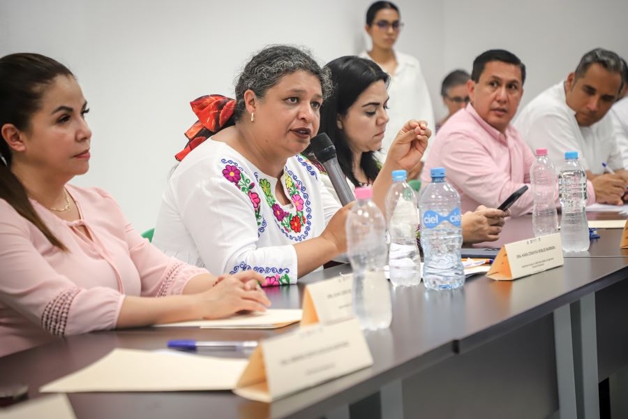 Refuerza SSH Lucha Contra El Dengue, Se Han Registrado 154 Casos No Grave, 14 Con Signos de Alarma y 4 Graves en 13 Municipios Hidalguenses