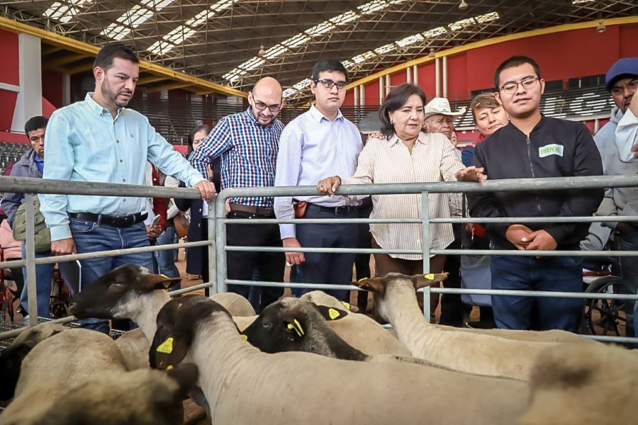 Entrega Edda Vite Proyectos Productivos para Hidalguenses con Discapacidad Permanente
