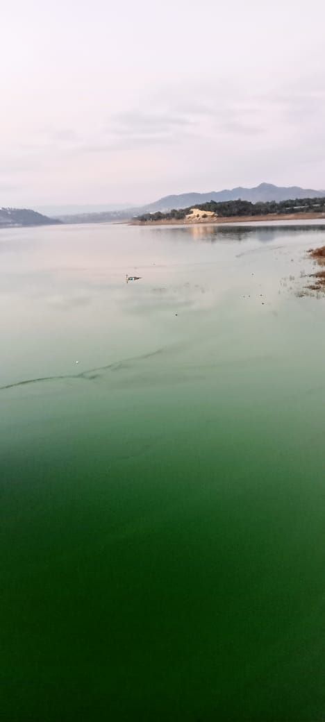 Presas de Hidalgo Cuentan Con 97% de Almacenamiento: Conagua