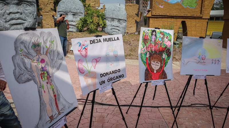Premia SSH a Ganadores del 7° Concurso Estatal de Dibujo Infantil a favor de la Donación y Trasplante de Órganos y Tejidos