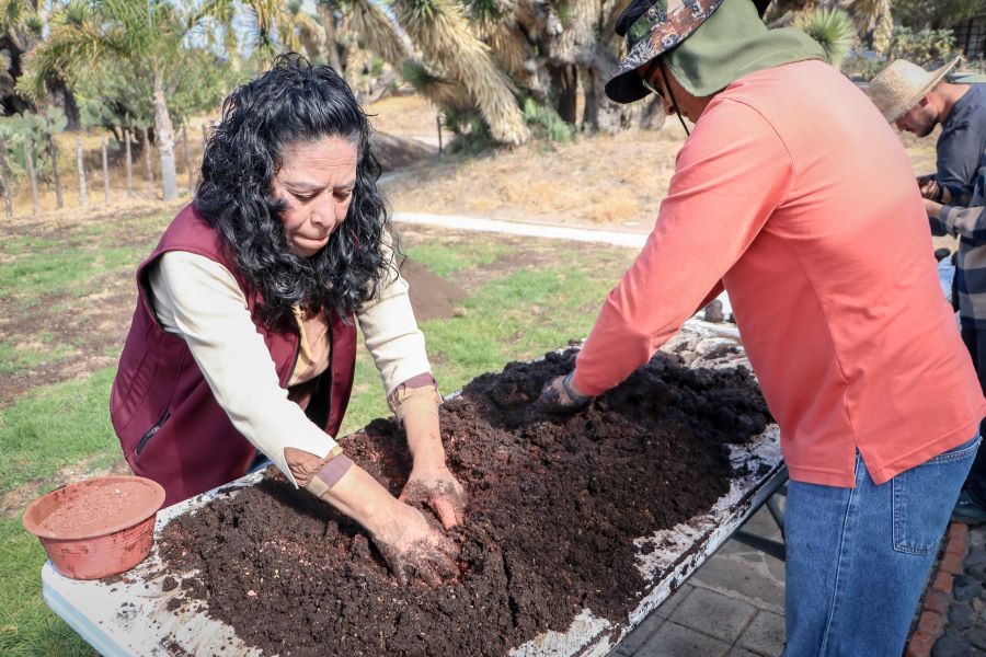 Semarnath Realiza Pruebas Piloto Para la Reforestación y Repoblamiento Forestal en Diversas Zonas del Estado