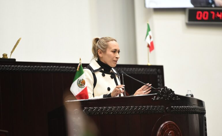 Iniciativa de Reforma a la Ley Integral para Personas con Discapacidad Para Una Representación Equitativa de los Tres Poderes del Estado