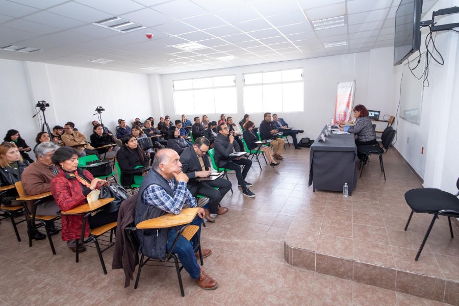 IEEH presenta Conferencia “Estadísticas a propósito del Día Internacional de la eliminación de la Violencia contra la Mujer”