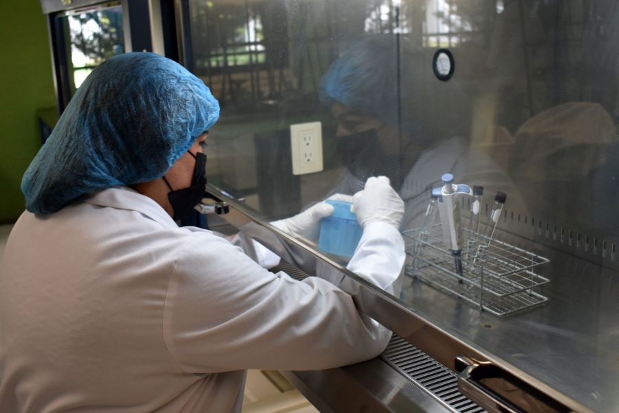 Investigadora de Industrias Alimentarias del Itesa Patenta Un Probiótico Para el Crecimiento de Los Pollos.