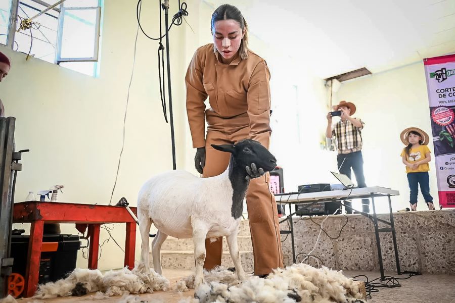 Capacita Saderh a Ovicultores del Valle de Tulancingo