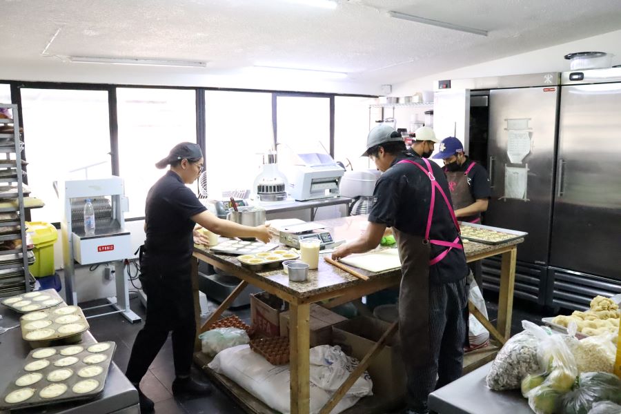 Implementa Secretaría del Trabajo el Sistema Alterno de Inspección Laboral