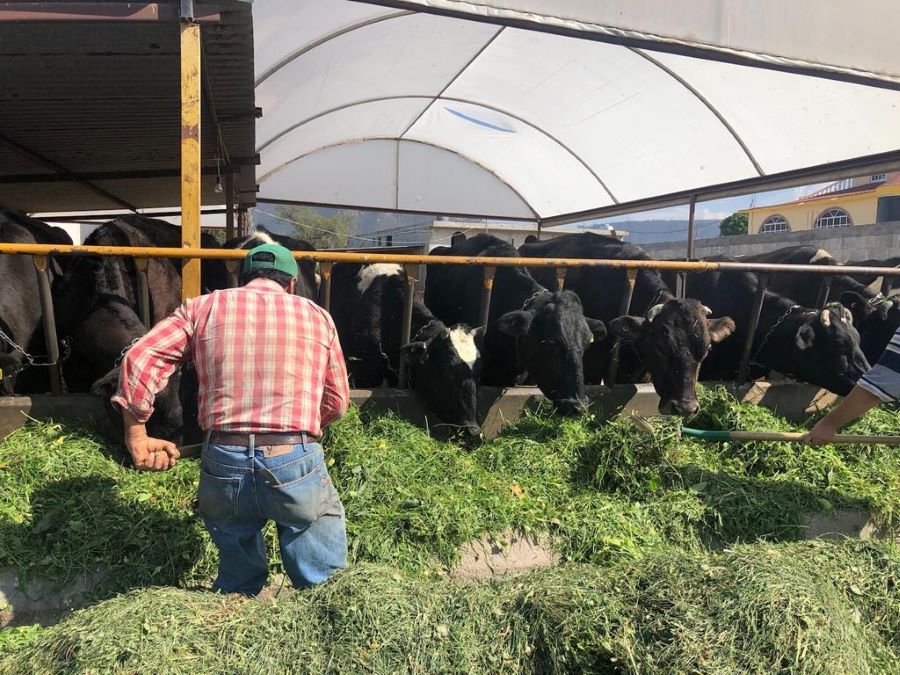 Secretaría del Campo de Tulancingo Ingresó Expediente Para Buscar Recursos de Semarnath