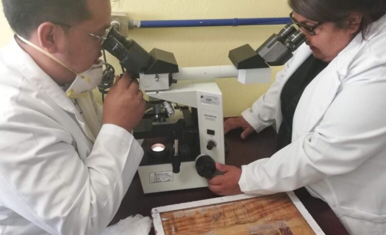 Hábitos saludables, Determinantes En La Proliferación De Todos Los Tipos De Cáncer: SSH