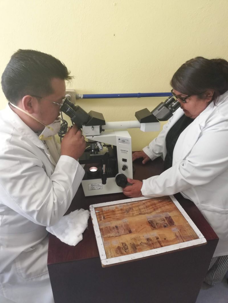 Hábitos saludables, Determinantes En La Proliferación De Todos Los Tipos De Cáncer: SSH