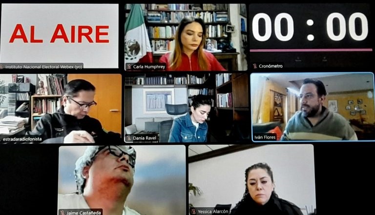 INE Verificará Que Candidatos Postulados Por Partidos Políticos no Sean Deudores Alimentarios, no Hayan Cometido Delitos Sexuales, Violencia Familiar, Política de Género