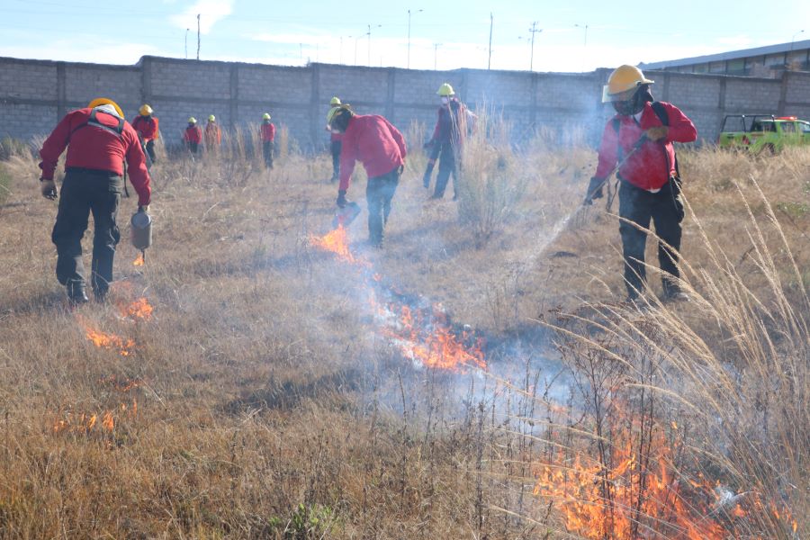 Inician Líneas Negras Para Evitar Incendios Forestales