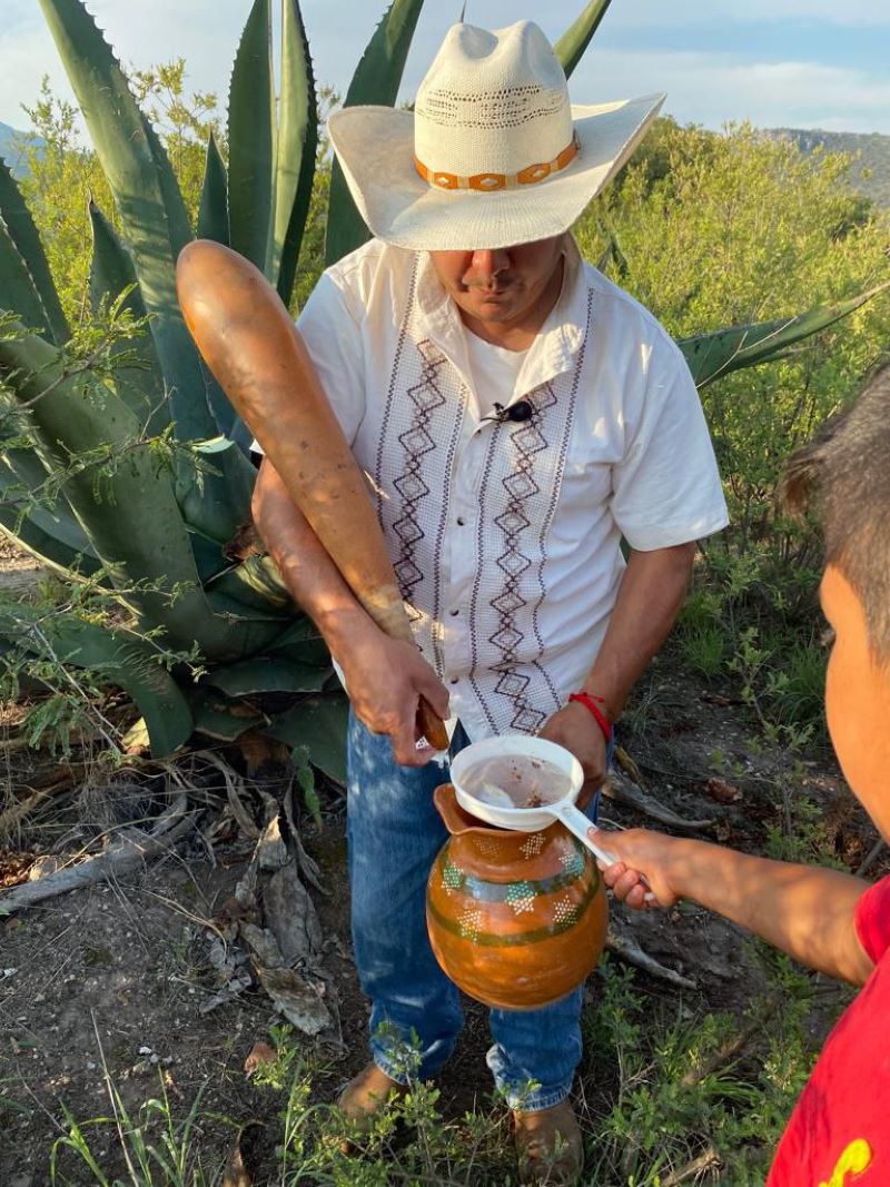 Hidalgo, Región Pulquera Por Excelencia