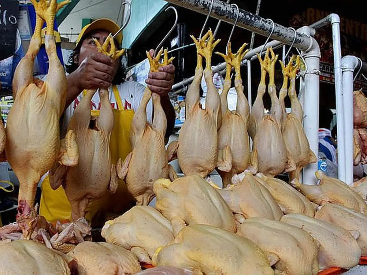 Recomendaciones a la Población en la Compra de Pollo Para Consumo Humano