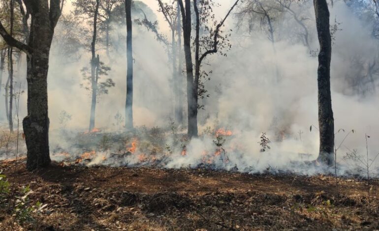 Incendio en Nicolás Flores Controlado a Cien Por Ciento