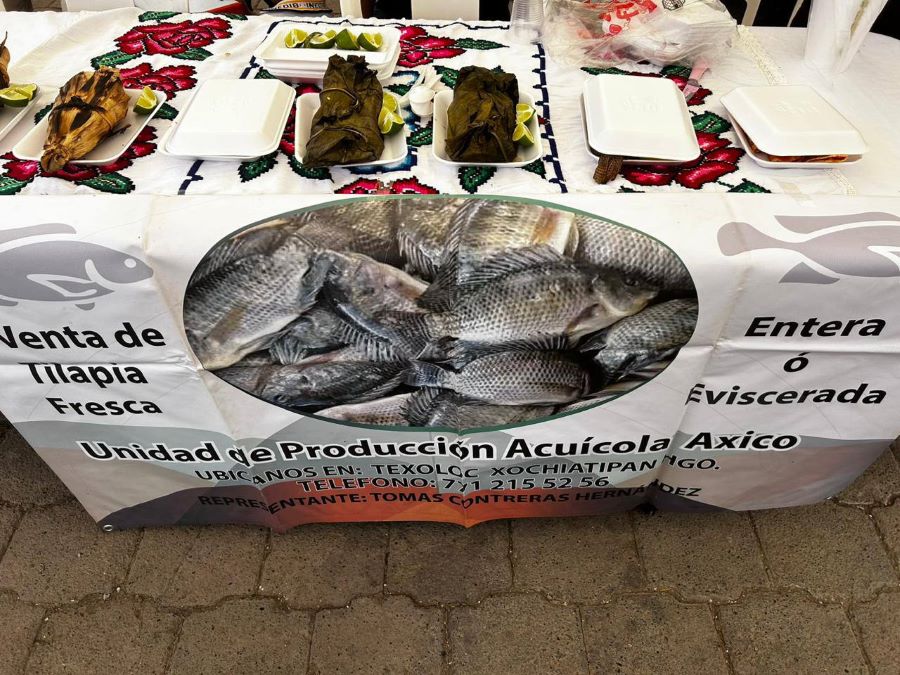 Expo Acuícola Resaltó La Diversidad Piscícola de La Huasteca y Sierra Hidalguense