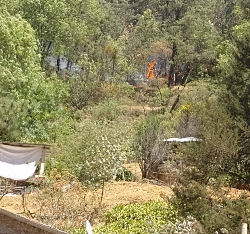 Incendio en “La Campaña” en el Bosque de Mineral del Chico