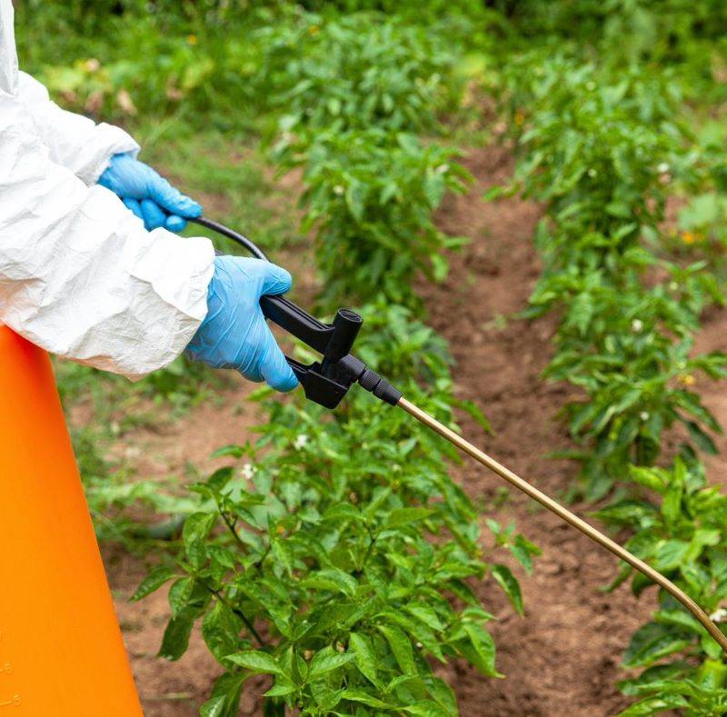 Prevé UMFFAAC Crisis de Productividad Agrícola Si Se Prohíbe El Glifosato