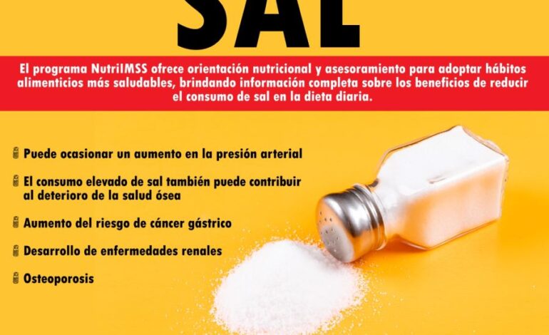 Recomienda IMSS Hidalgo Evitar el Uso Excesivo de Sal en la Comida y Promover Una Alimentación Saludable