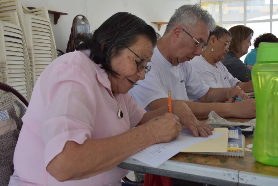 Curso de Apoyo Terapéutico a Personas Cuidadoras de Adultos Mayores