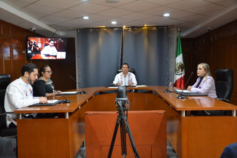 TEEH- Creación de la Defensoría Pública Ciudadana