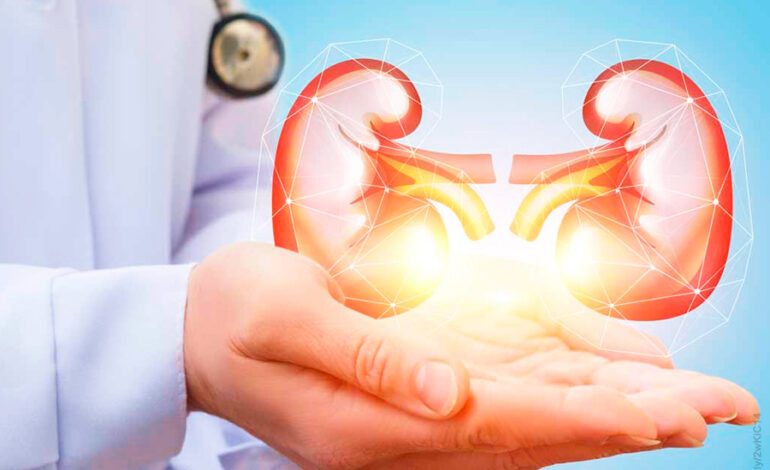 Los Médicos: Guardianes de la Salud Renal