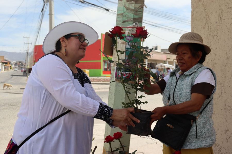 Impulsaré la autonomía económica de las mujeres: Tania Meza