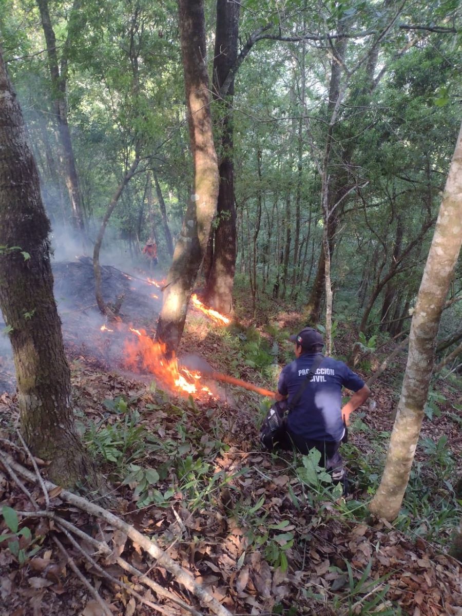 Sofocan Incendios en el Municipio de Tlanchinol