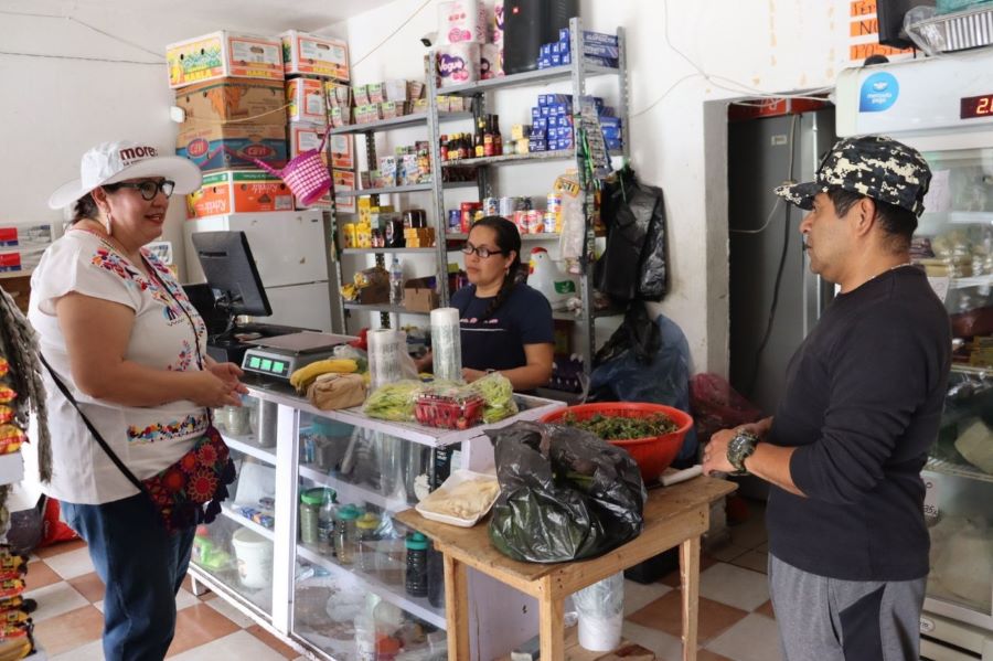 Plantea Tania Meza Acciones Prioritarias Para Medio Ambiente