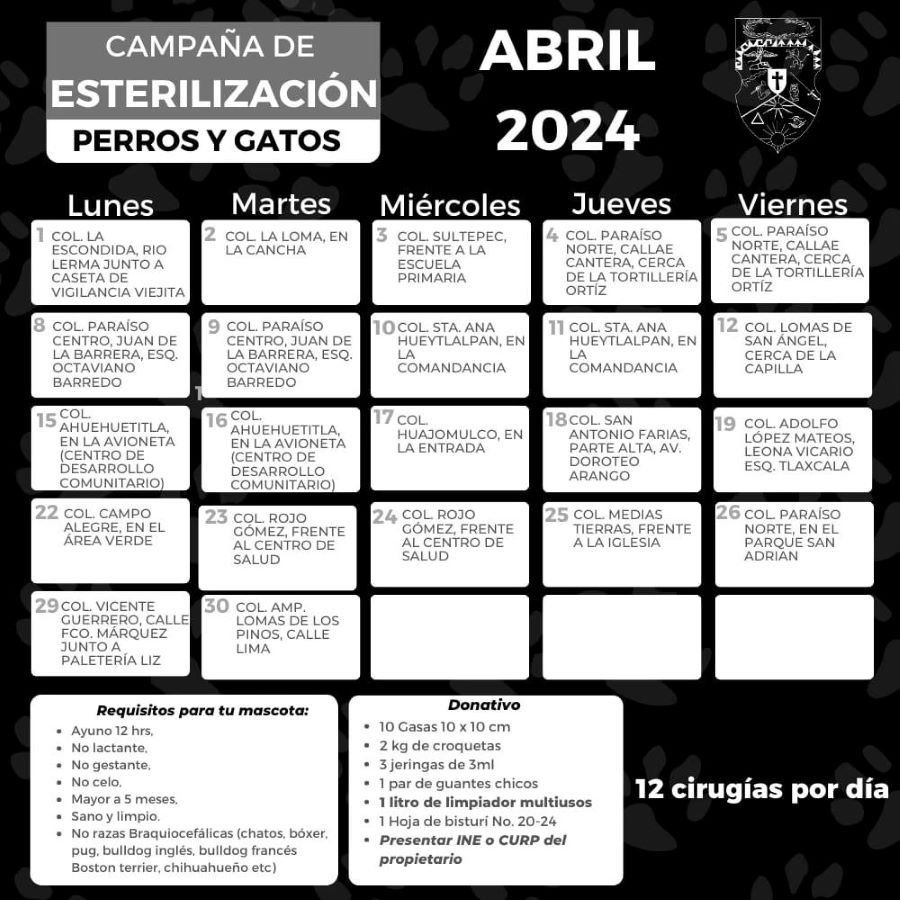 Programa de Esterilizaciones Caninas y Felinas Puede Incluir a Ejemplares Sin Propietario.